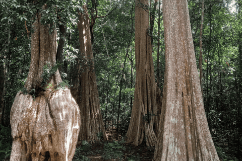 Cat Tien National Park with Crocodile Lake - Image 3