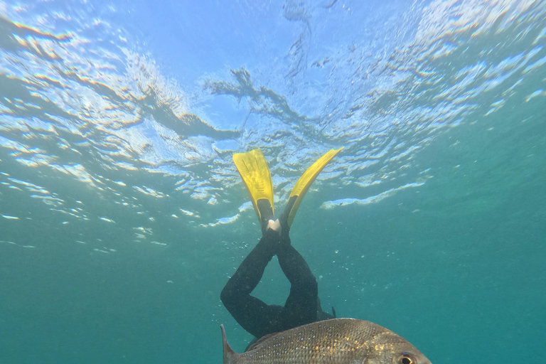 Goat Island Guided Snorkeling Tour for Beginners
