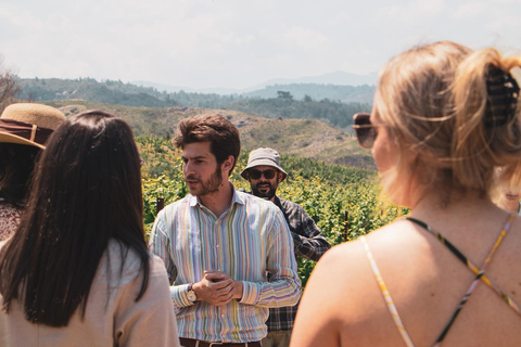 Rodas: Visita a Bodegas y Degustación