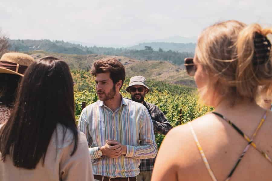 Rhodos: Weinkeller-Tour und Verkostung. Foto: GetYourGuide