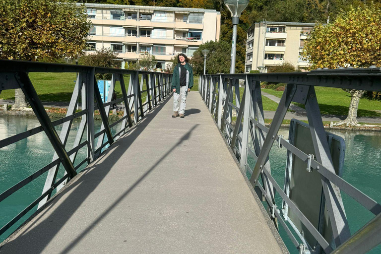 Genève: privé-dagtrip naar Montreux, Lausanne en Gruyères