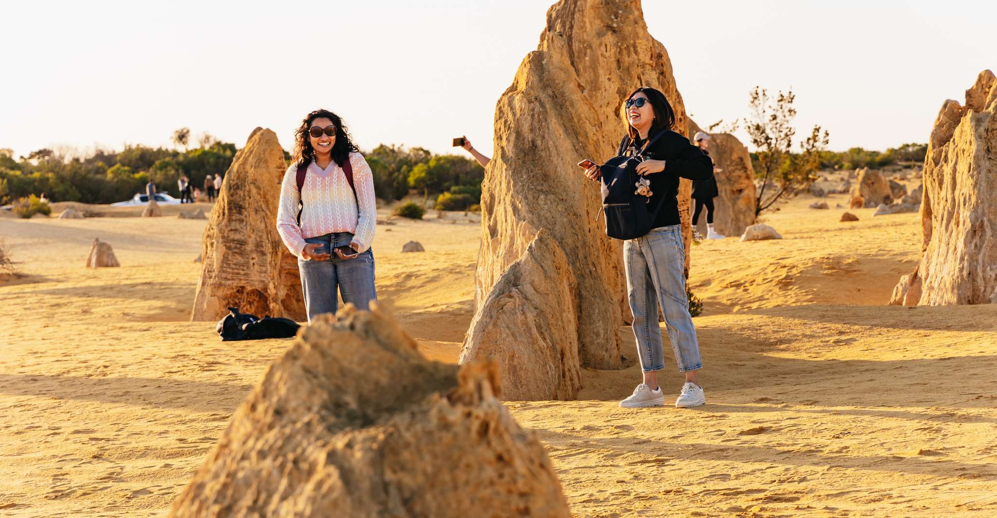 From Perth, The Pinnacles Desert Sunset and Star-Gazing Tour - Housity