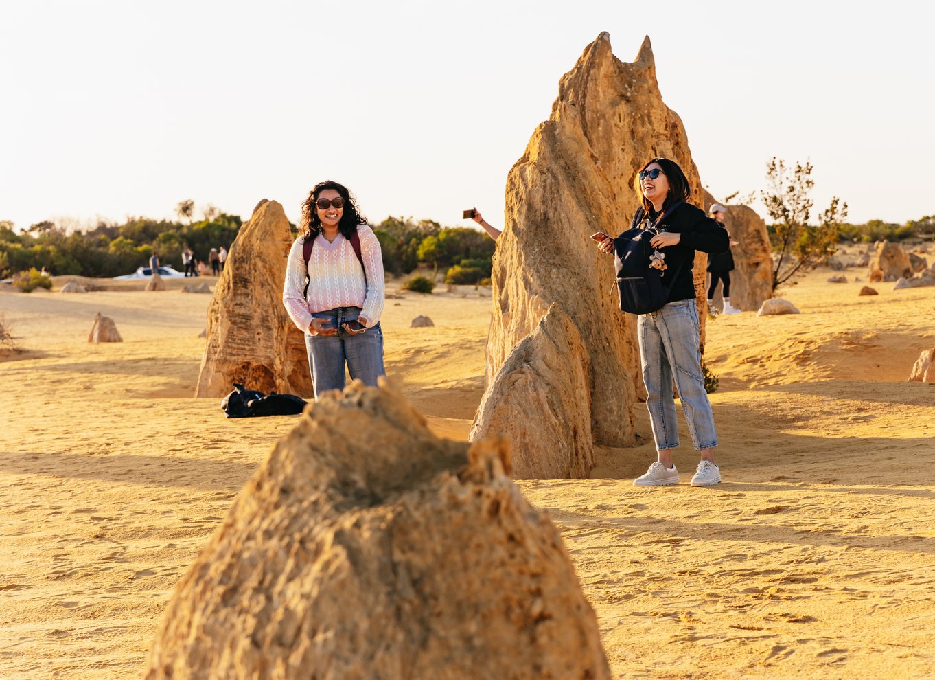 Fra Perth: The Pinnacles Desert Sunset and Star-Gazing Tour