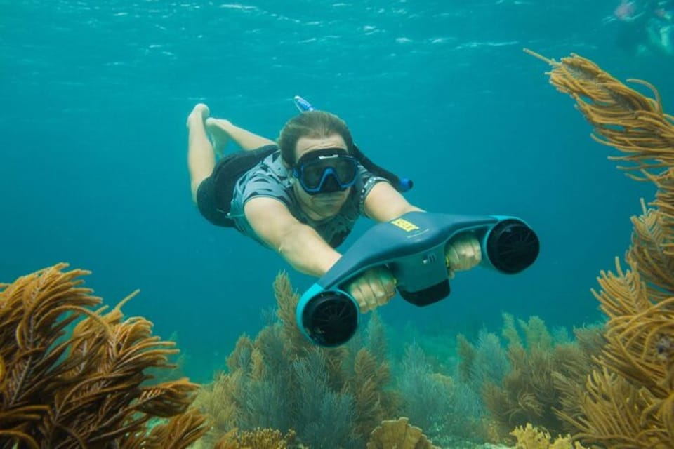 Bonaire Private ESnorkeling Experience GetYourGuide