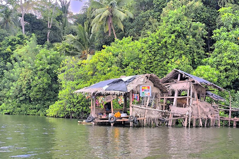 Z Galle/Colombo: Safari nad rzeką Madu i wizyta w wylęgarni żółwi