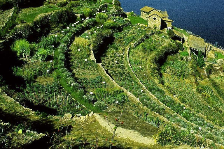 Katamaran auf dem Titicacasee und Besuch der Isla del Sol