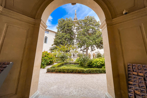 Guided walk from Old Lyon to the Presqu'île with a guide Guided walking tour from Old Lyon to the Presqu'île district with a guide