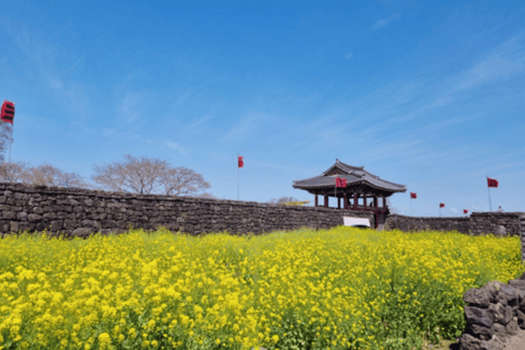 Jeju: Eastern UNESCO Sites Tour with Hotel Pickup