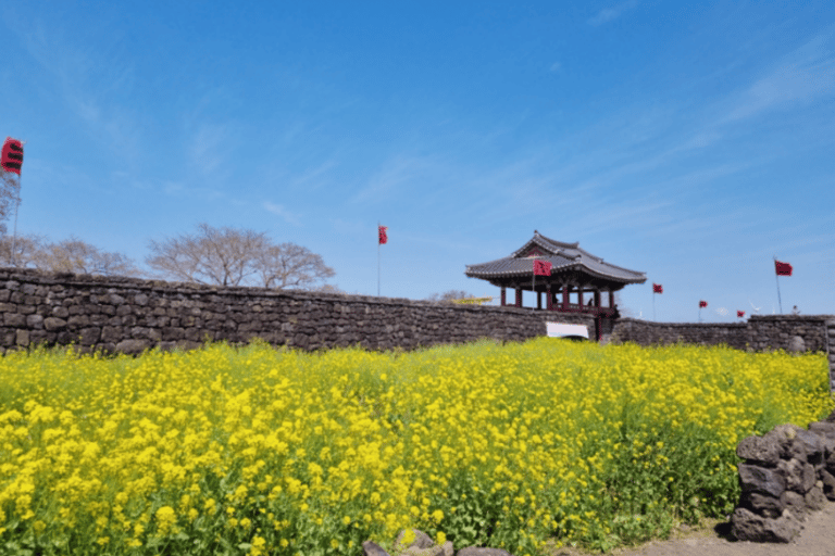 Jeju: Eastern UNESCO Sites Tour with Hotel Pickup