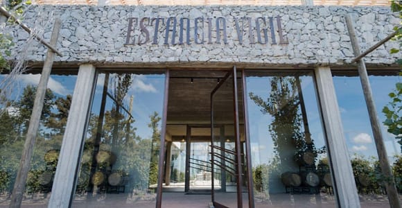 Buenos Aires: Estancia Vigil Winery Tour with Lunch