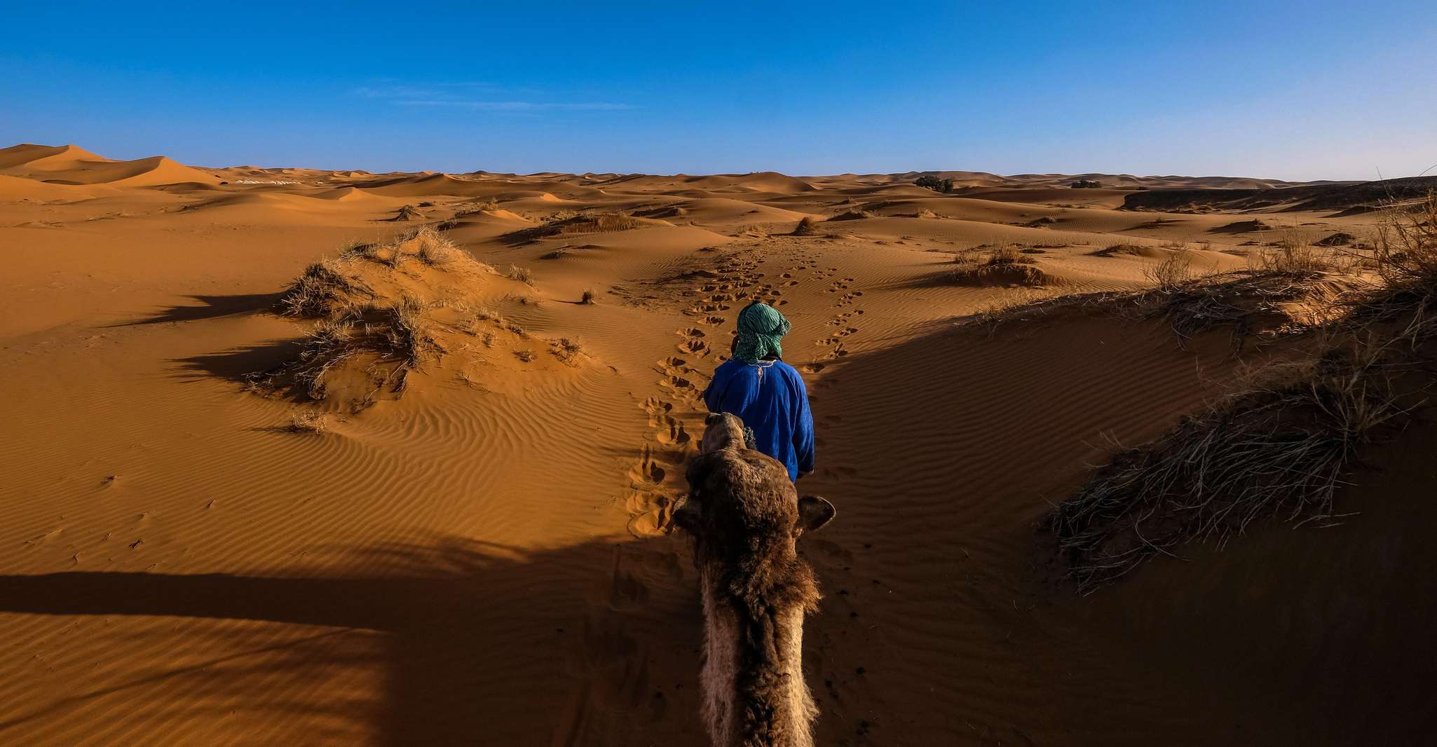 Doha: Quad Bike, Dune Bashing, Camel Ride & Inland Sea Tour photo 13