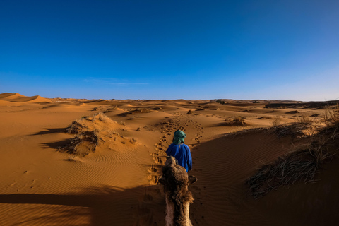 Escala en Doha Excursión por el desierto, paseo en camello y mar interiorSafari por el desierto con paseo en camello