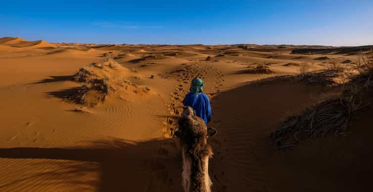 Doha: Quad Bike, Dune Bashing, Camel Ride & Inland Sea Tour photo 13