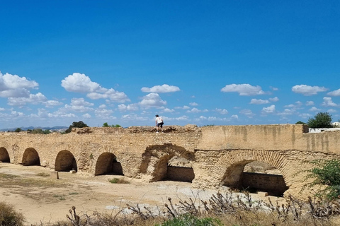 From Tunis: Bardo Museum, Oudhna & Aqueduct Private Tour