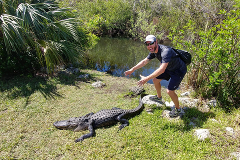 Miami: Everglades Airboat Ride and Tram Tour