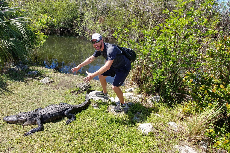 Miami: Everglades Airboat Ride and Tram Tour