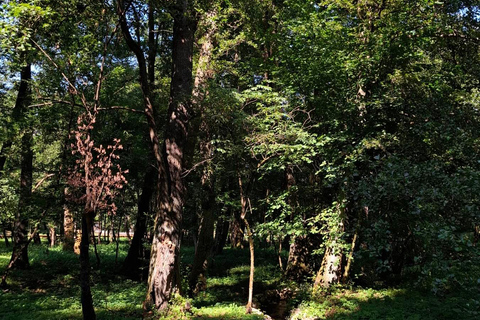 萨拉热窝：斯托伊切瓦茨自然步道