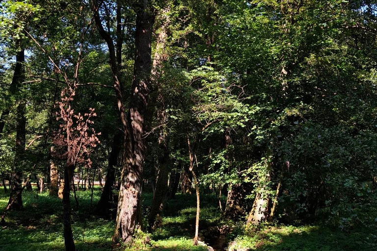 萨拉热窝：斯托伊切瓦茨自然步道