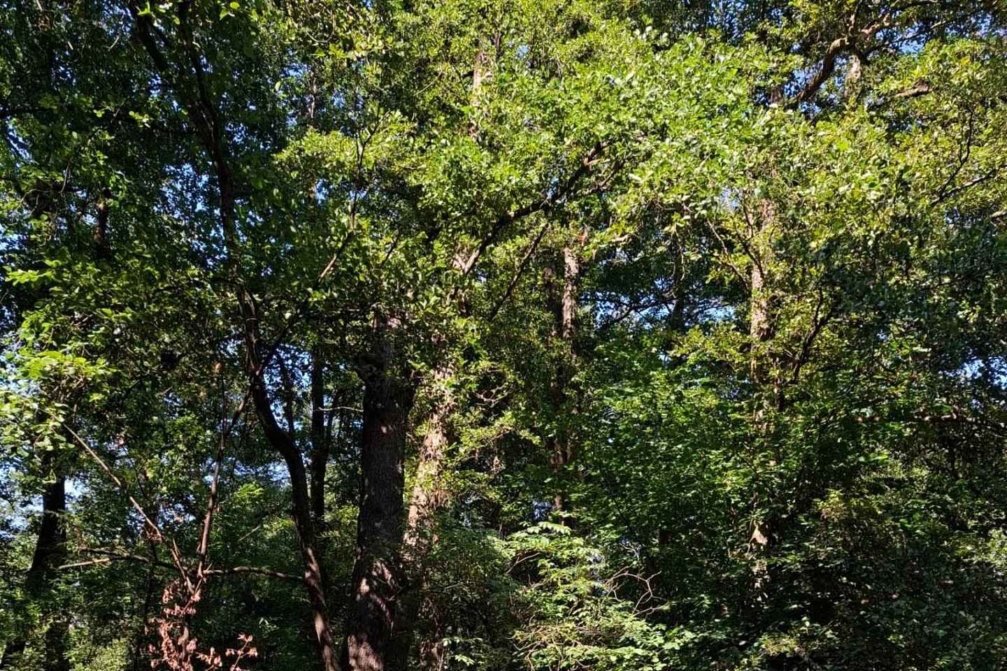 Sarajevo: Stojčevac Nature Walk