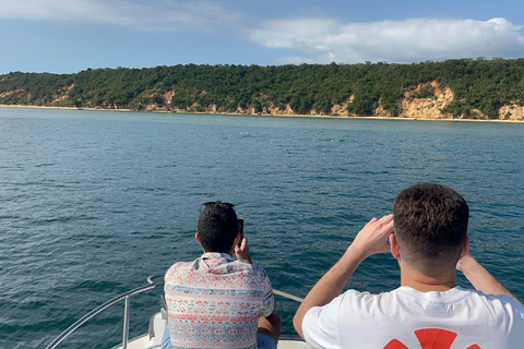 Maputo: Whale Watching, Day Trip