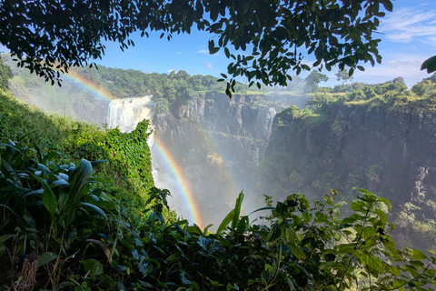 Victoria Falls: Guided Walking Tour with Local Guide