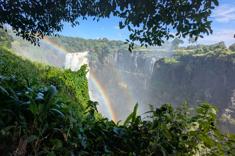 Victoria Falls: Guided Walking Tour with Local Guide