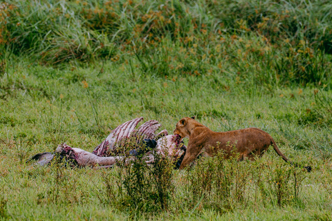 Kigali: Akagera National Park Safari with Boat Cruise