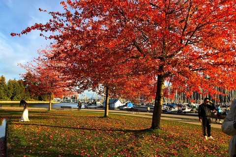 Vancouver stadstour met alle attractiesStadstour door Vancouver met alle bezienswaardigheden