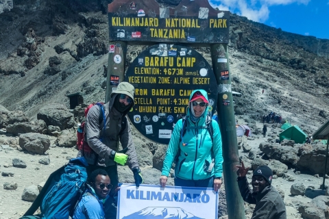 Moshi: beklimming van de Kilimanjaro via de Machame RouteMoshi: Kilimanjaro beklimmingstocht via Machame Route 7 dagen