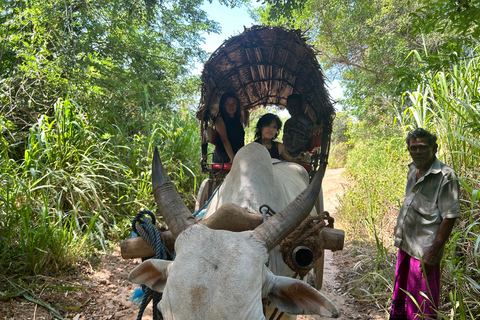 04 jours à la découverte du trésor du Sri Lanka