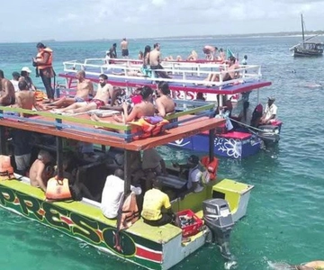 WATAMU,Snorkeling/dolphin spotting,seafood,mida creek cruise