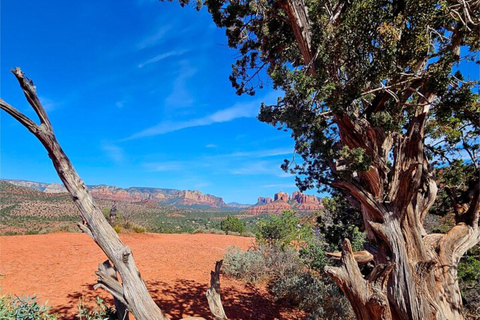 Sedona: Art, Spirituality, and Vineyard Tour
