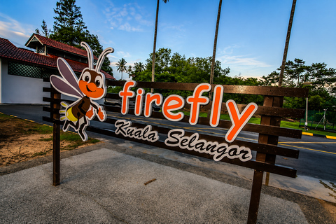 Kuala Selangor: Hidden Gems & Magical Fireflies