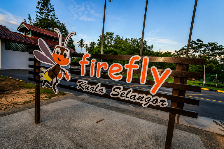 Kuala Selangor: Hidden Gems & Magical Fireflies
