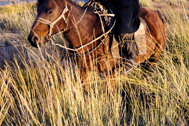 Mongolia: Terelj National Park Horseback Ride