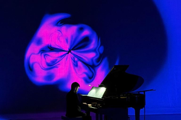 ✨Immersive Light and Music Show in Alicante I Under The Tree