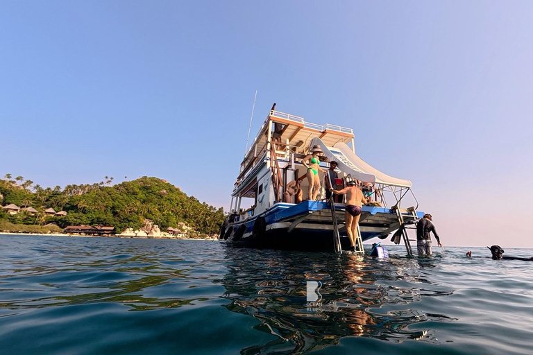 Koh Tao: Snorkel with Turtles at Nangyuan with Fewer Crowds