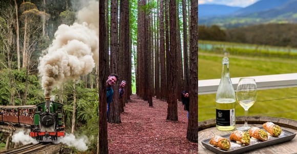 Puffing Billy, Forest Trails & Yarra Valley Discovery Tour