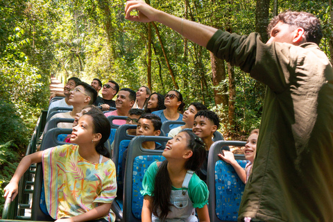 Foz do Iguaçu: tour guidato alle cascate di Iguazu