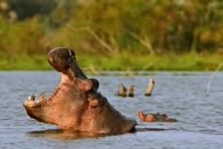 Nairobi: Lake Naivasha Slow Safari with Boat Ride