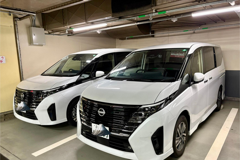 Tokio: privétour met gids langs tempels en heiligdommen per autoPremium SUV voor 3 personen