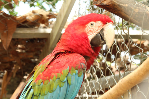 Paso del Mango Hike, Botanical Garden & Chocolate