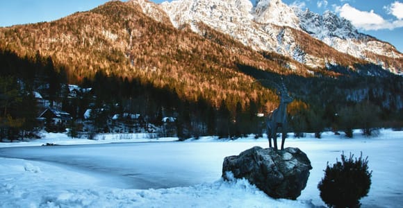 Ab Bled: Wintertour zum Triglav-Nationalpark