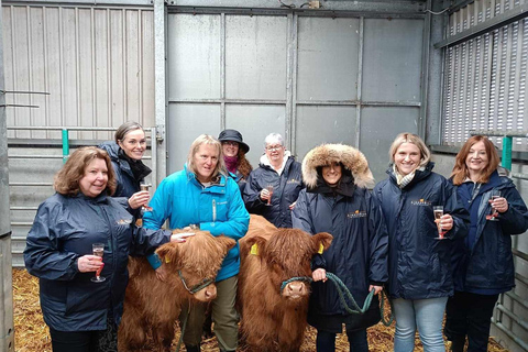 Desde Edimburgo: Excursión de día completo por las Tierras Altas de Escocia