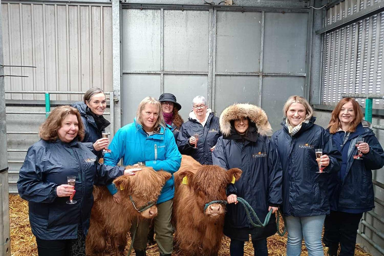 Desde Edimburgo: Excursión de día completo por las Tierras Altas de Escocia