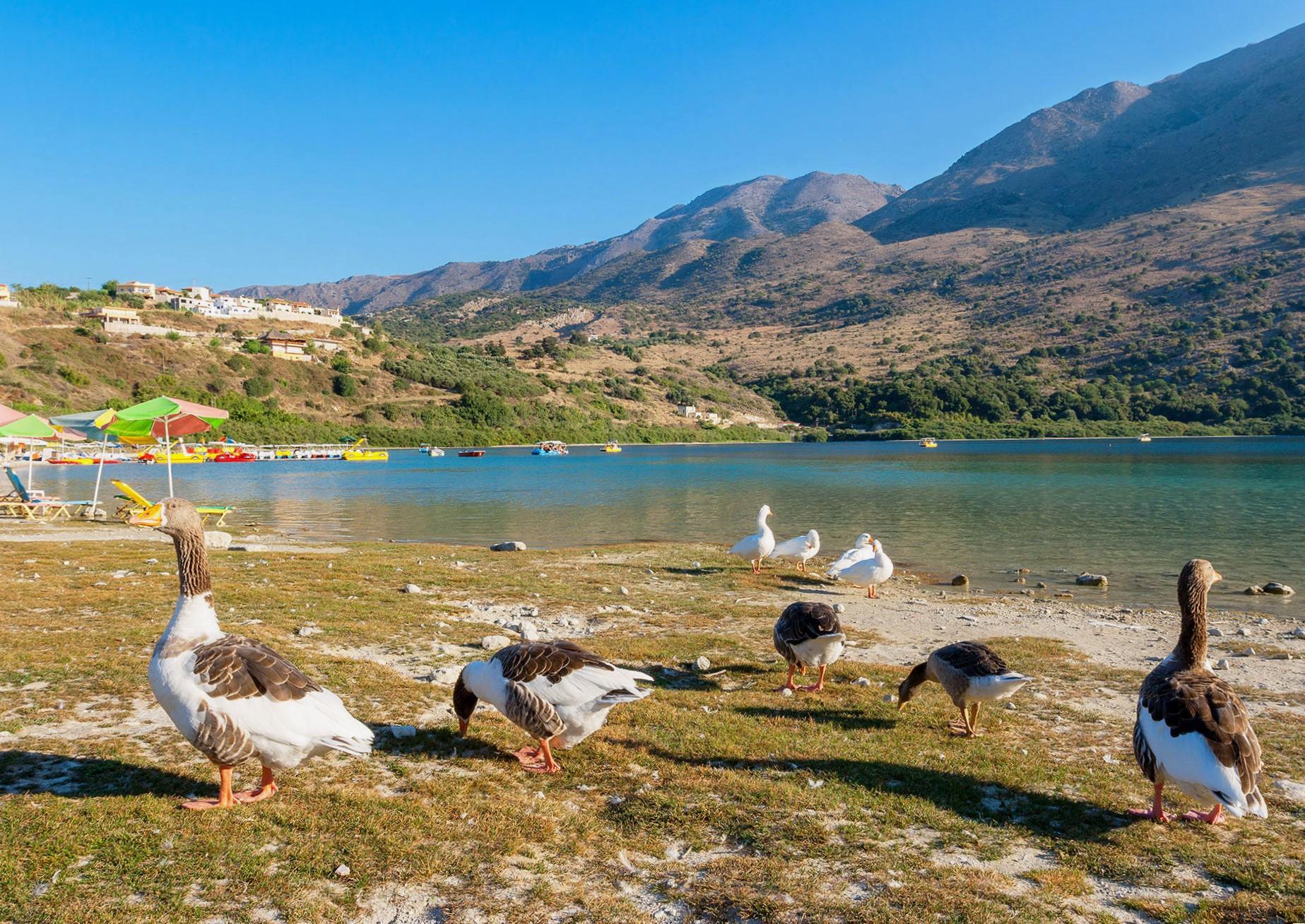 Von Chania aus: Kournas See & Argiroupoli Quellen Geführte Tour