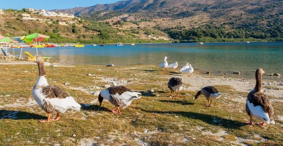 From Chania: Lake Kournas & Argiroupoli Springs Guided Tour