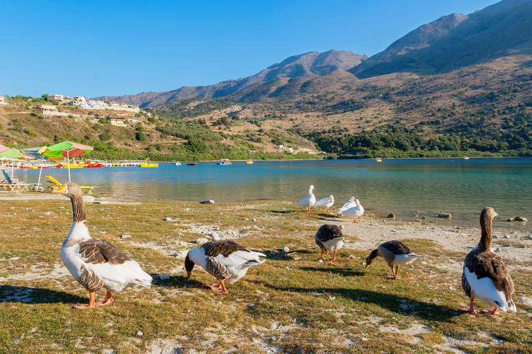 From Chania: Lake Kournas & Argiroupoli Springs Guided Tour