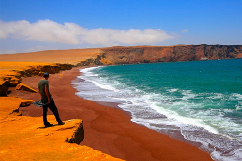 4 jours au départ de Lima : vol vers les lignes de Nazca, Paracas et Huacachina