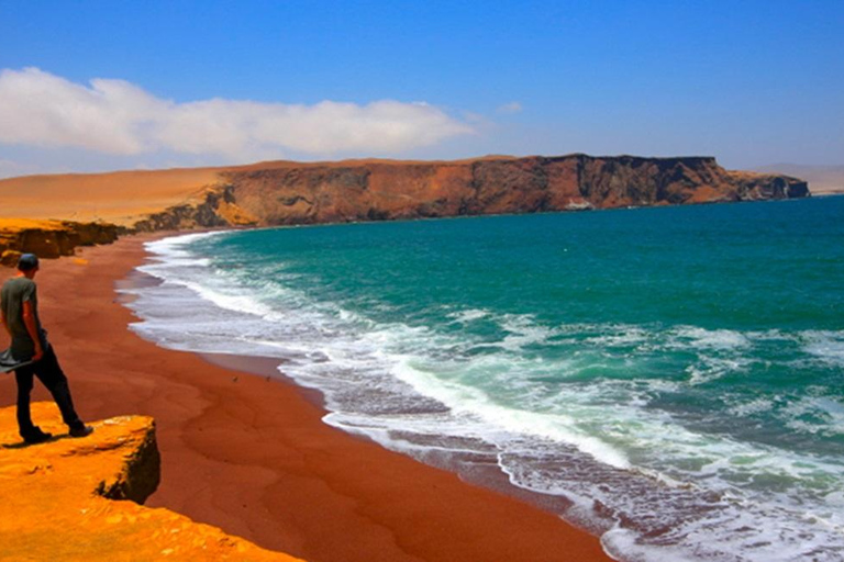 4 Dagen vanuit Lima: Nazca Lijnen Vlucht, Paracas en Huacachina